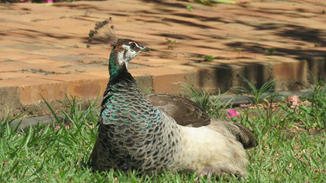 Dwaleni Farm Lodge Matsapha ภายนอก รูปภาพ